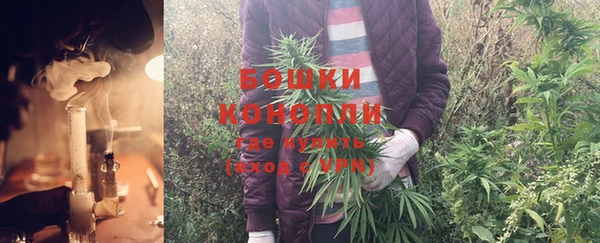 мет Елизово