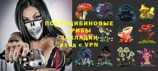 мет Елизово
