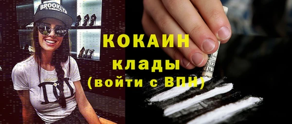 мет Елизово
