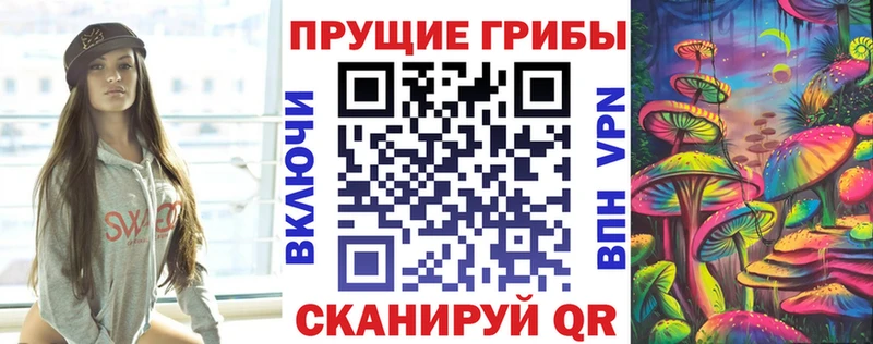Купить  Реутов  Псилоцибиновые грибы прущие грибы 